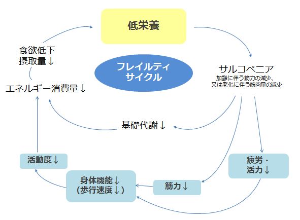 出典)厚生労働省「日本人の食事摂取基準(2015年版)策定検討会」 報告書