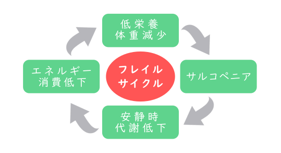 フレイルとサルコペニアの関係