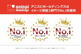 アニスピホールディングス1