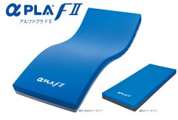 タイカ1